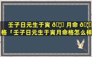 壬子日元生于寅 🦍 月命 🦈 格「壬子日元生于寅月命格怎么样」